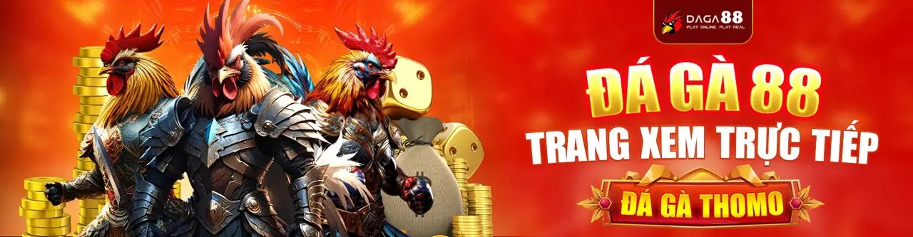 Sân đấu đá gà trực tuyến sôi động tại Keonhacaichuan