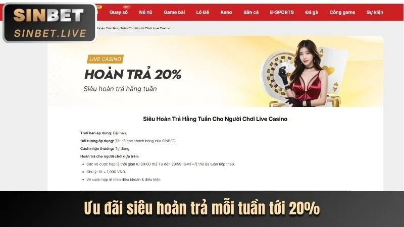 Tổng quan các loại hình cá cược tại keonhacaichuan